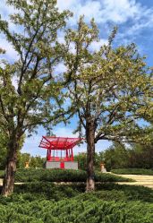 -大望京儿童游乐场