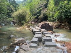 -广州白江湖森林公园