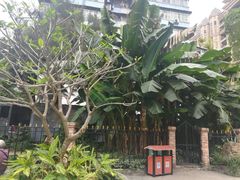 -晓港公园