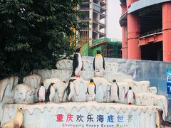 -重庆欢乐海底世界