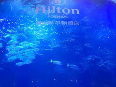 -佛山希尔顿酒店·融誉亚洲美食荟