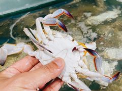 -蓝珊甄选海鲜自助·火锅大排档(近阿那亚店)