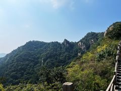 -大岭沟猕猴桃谷风景区