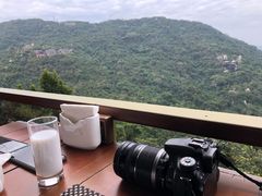 -亚龙湾热带天堂森林公园