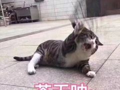 -黄记煌三汁焖锅(新世纪广场店)
