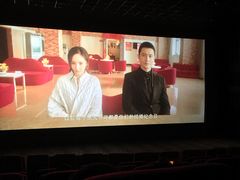 -万达影城(长沙婚庆公园中国巨幕店)