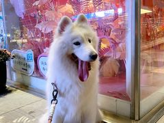 -HALO广场(梨园路店)