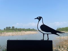 -野鸭湖国家湿地公园