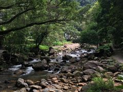 -广州市石门国家森林公园
