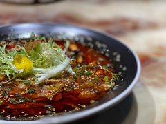 -香樟活鱼馆(渝北店)