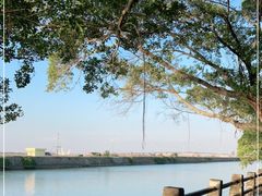 -大湾区中央湿地公园