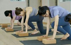 -酉嘉瑜伽YO+YOGA