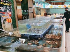 -天盛海鲜烧烤大排档·本地小海鲜·牟平腿穗子(幸福店)
