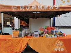 -前小桔亲子创意农场·草莓采摘·露营烧烤