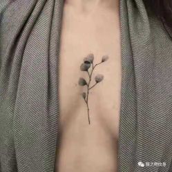 点击看大图 -龙之吻专业刺青·手工耳洞·纹身去色