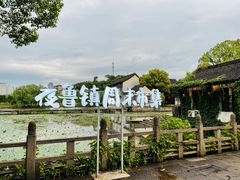 -鲁镇