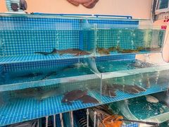 -大鹅岛灶台鱼·铁锅炖(水库路店)