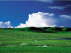 -希拉穆仁草原