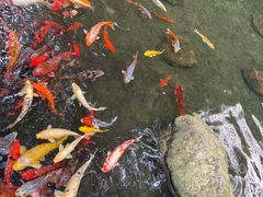 -广州花园酒店