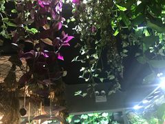 -森味薪火烧•烧鸟居酒屋•日本料理(望京店)