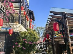 -慢丽江·云南野生菌土鸡锅(付家庄店)
