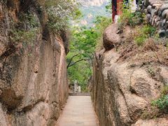 -北京凤凰岭