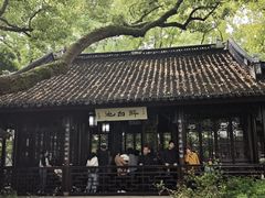 -上海醉白池公园