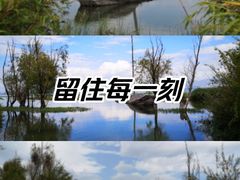 -洱海月湿地公园