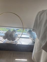 -智美品质医美