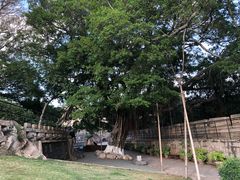 -胡里山炮台