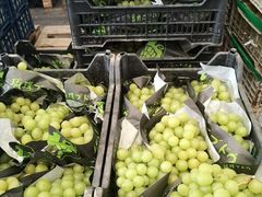 -江杨农产品批发市场