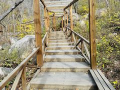 -大岭沟猕猴桃谷风景区