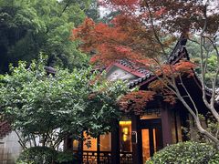 -十八棵（老龙井）御茶园(老龙井店)