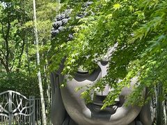 -杭州植物园