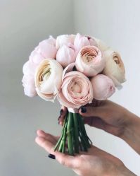 -禧趣婚礼