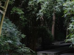 -鹿野苑石刻艺术博物馆