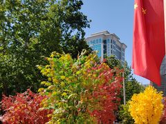 -西北轻工批发市场