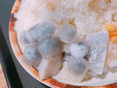 -鲜芋仙Meet Fresh(五道口店)