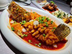 松鼠鱼-壹品宴掦·淮扬菜(新牌坊店)