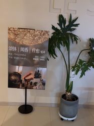 -乐室LE SPACE·美学疗愈空间
