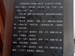 -三林塘老街
