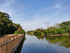-大湾区中央湿地公园