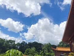 -深圳仙湖植物园