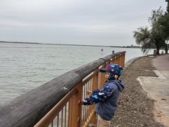 -蟹天蟹地农家菜·阳澄湖大闸蟹(浅水湾店)