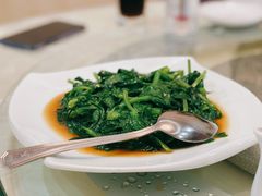 清炒豆苗-新加坡泰园村酒楼直营(新华路店)