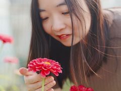 -菊园百果园