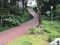 -国强牛肉(洋河总店)