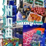 广州加油 | 看到本土奶茶店为疫情的努力🌤老广真的超感动