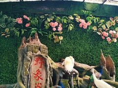 -野象谷景区