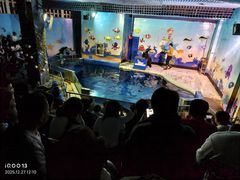 -太平洋海底世界